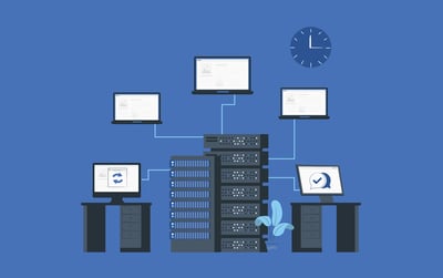 Fiber Network Support